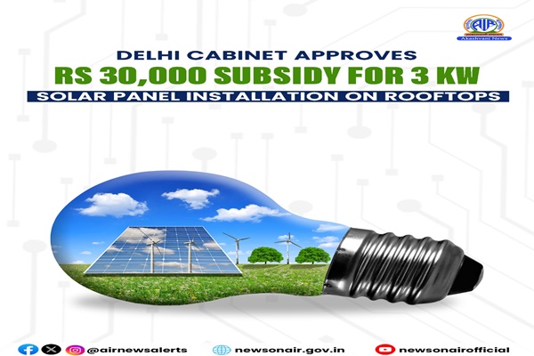 Delhi govt to provide 30 thousand rupees as subsidy for installing 3 kilo watt rooftop solar panels