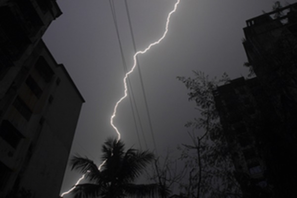 J&K: Lightning kills over 100 sheep & goats in Rajouri