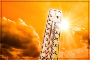 पूर्वी अमरीका के कई शहरों में अत्‍यधिक तापमान और उमस भरी गर्मी दर्ज की गई है