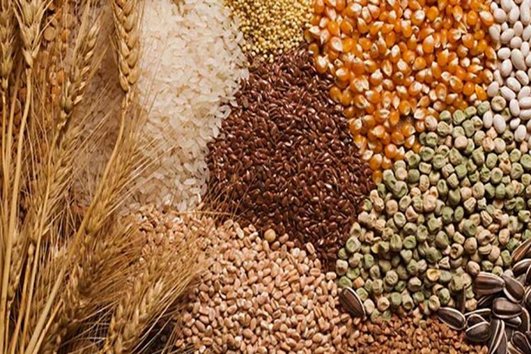 अन्नधान्य उत्पादन ३५ कोटी ४० लाख टनापर्यंत पोहोचण्याचा अंदाज