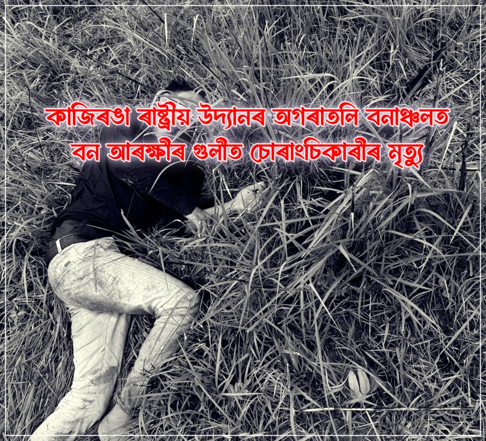 কাজিৰঙা ৰাষ্ট্ৰীয় উদ্যানৰ অগৰাতলি বনাঞ্চলত বন আৰক্ষীৰ গুলীত চোৰাংচিকাৰীৰ মৃত্যু
