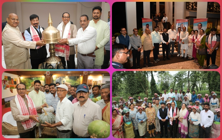 কেন্দ্রীয় মন্ত্ৰী শিৱৰাজ সিং চৌহানৰ কাজিৰঙা ৰাষ্ট্ৰীয় উদ্যানৰ কাষৰীয়া হাতীখুলি চাহ বাগিচা পৰিদৰ্শন