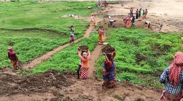 ১লা আগস্ট থেকে পশ্চিমবঙ্গে ফের ১০০ দিনের প্রকল্প চালু করতে কেন্দ্রকে নির্দেশ দিয়েছে কলকাতা হাইকোর্ট।