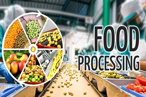 India’s food processing sector empowered rural entrepreneurs with dynamic approach, says PM Modi