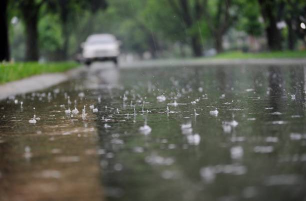 Rain Eases in Kerala, Yellow Alert in Four Districts; 105 Houses Damaged in Pathanamthitta