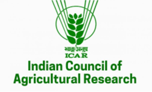 وزیر اعظم نریندر مودی آج نئی دلّی میں زرعی تحقیق کی بھارتی کونسل ICAR میں قدرتی کاشت کاری سے متعلق قومی مشن کا آغاز کرنے والے ہیں۔