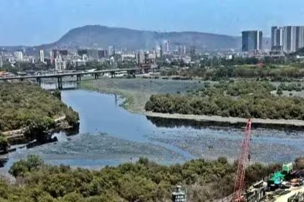 ED conducts raids in money laundering case linked to Mithi River desilting scam