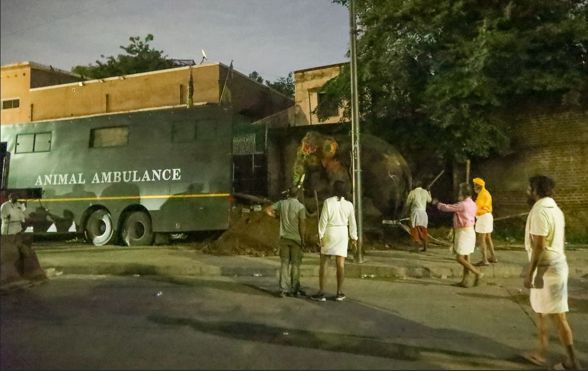 અમદાવાદ રથયાત્રામાં ઉશ્કેરાયેલા હાથીઓની મદદે વનતારા-હાથીઓના ઉશ્કેરાટ બાદ નિષ્ણાત ઇમરજન્સી ટીમ અને એમ્બ્યુલન્સન મોકલી