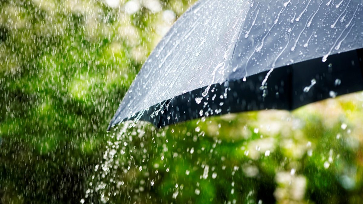 IMD forecast: Monsoon to reach Delhi in next 36 hours