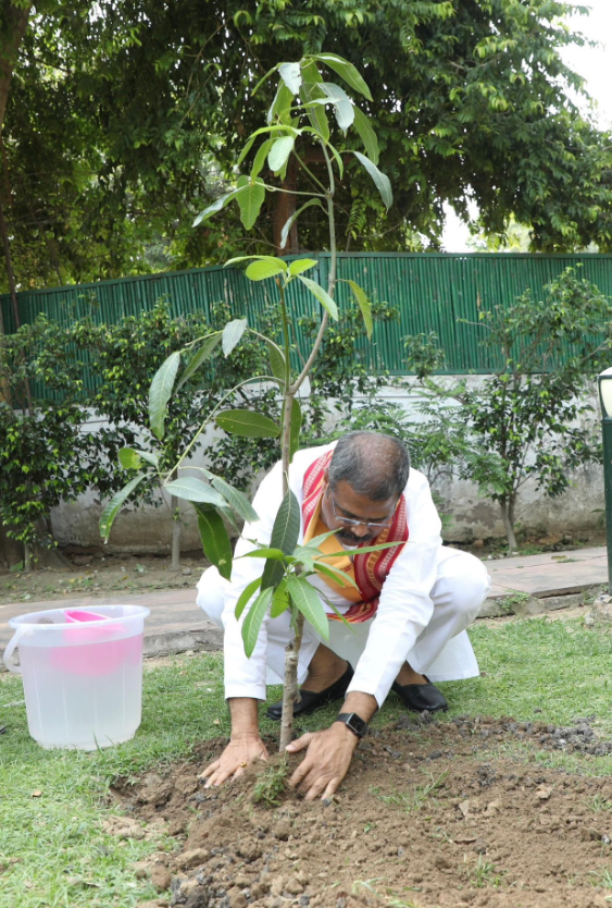 केंद्रीय मंत्री धर्मेंद्र प्रधान ने नई दिल्ली में किया पौधारोपण, एक पेड़ मां के नाम अभियान-2.0 की शुरुआत की