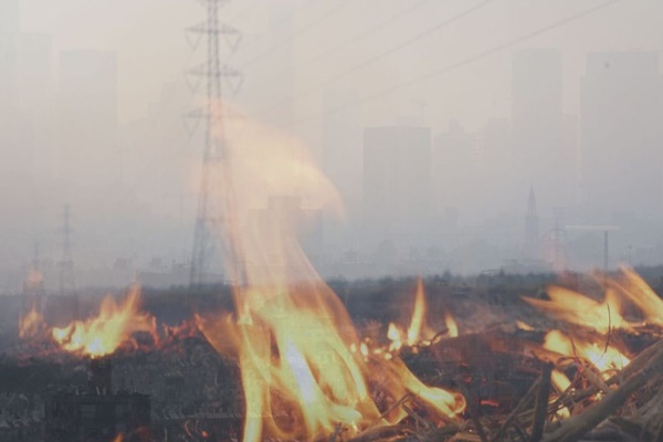 CAQM issues directions to control biomass burning  to avoid air pollution