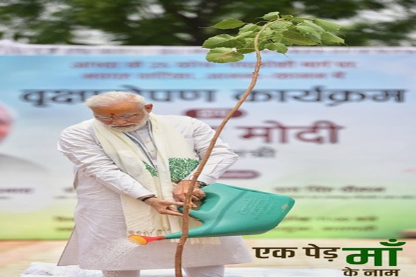 PM Modi to lead tree plantation drive & flag off 200 electric buses in Delhi on World Environment Day