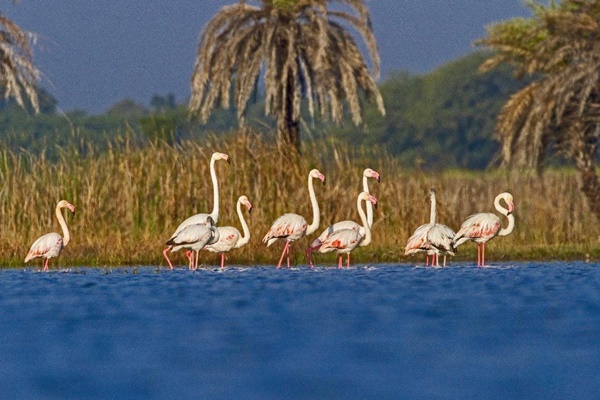 Two more wetlands from India added to Ramsar list