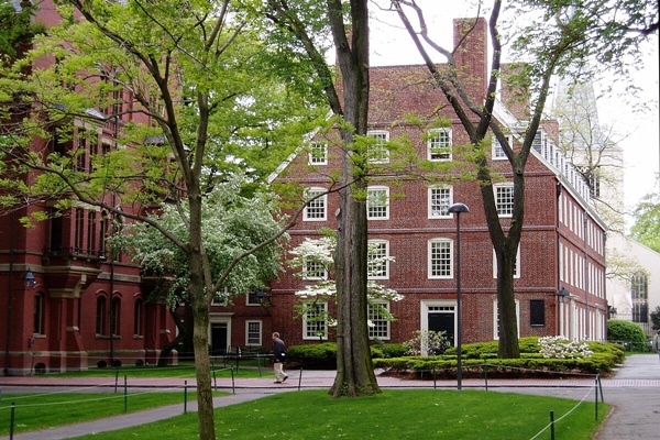 US President suspends Harvard student visas for 6 months