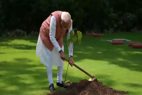 PM Modi plants Sindoor sapling on World Environment Day
