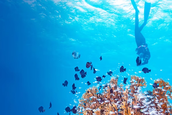France, Brazil launch initiative to scale up ocean-focused climate action