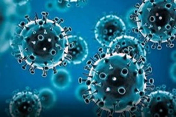 India reports 3960 active COVID-19 cases