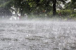 हिमाचल प्रदेश में पिछले कुछ दिनों से तेज बारिश हो रही है