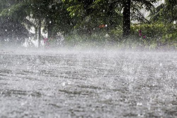 Monsoon Advances in Punjab, Rains Bring Relief from Scorching Heat