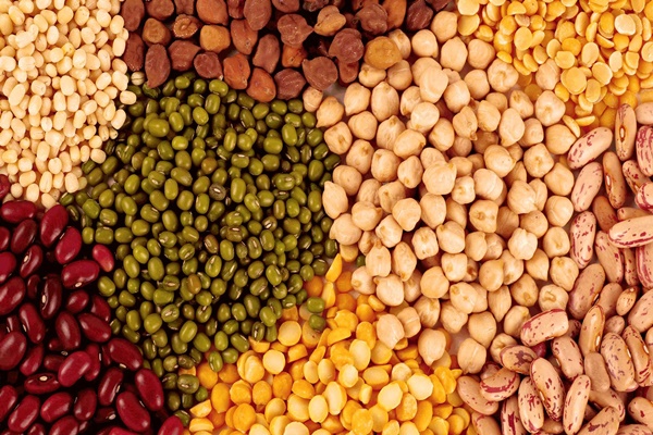 Centre Approves Procurement of Over 1 Lakh MT Pulses and Oilseeds for Summer 2025-26