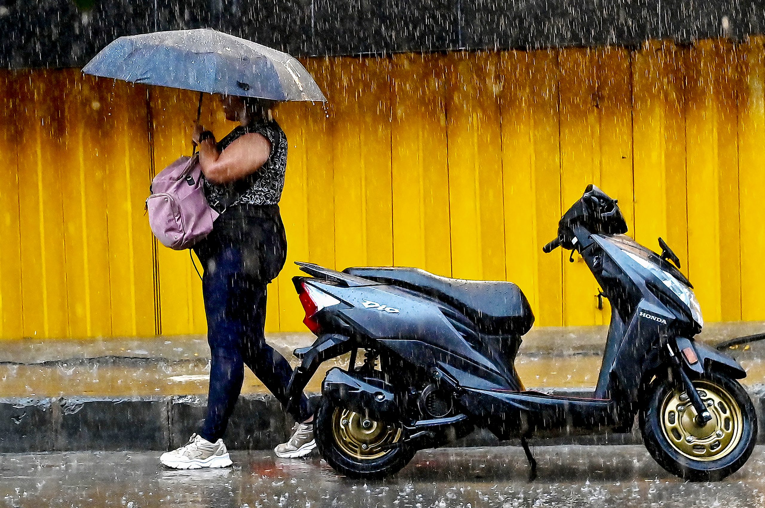 IMD Issues Yellow Alert for Goa; Heavy Rainfall and Strong Winds Expected from August 15–20