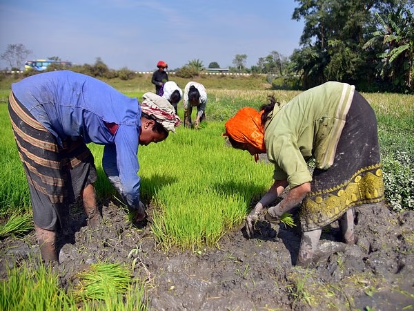 Govt appeals to agro universities & institutions to contribute in increasing productivity