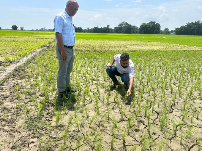 ৰাজ্যৰ কেইবাখনো জিলাত খৰাং সদৃশ পৰিস্থিতিৰ উদ্ভৱ হোৱাৰ বিষয়টো ৰাজ্য চৰকাৰে গুৰুত্ব সহকাৰে বিবেচনা কৰিছে