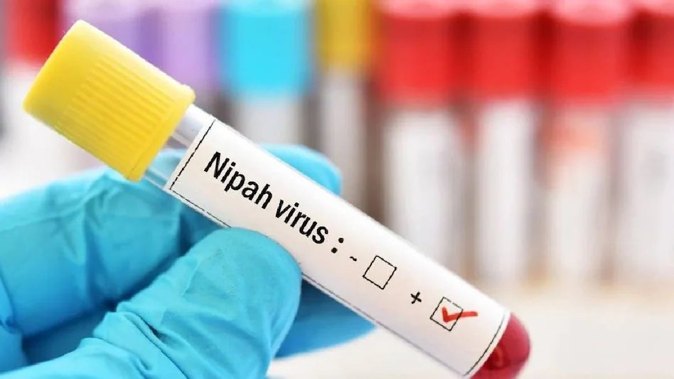 Kerala reports two new Nipah virus cases