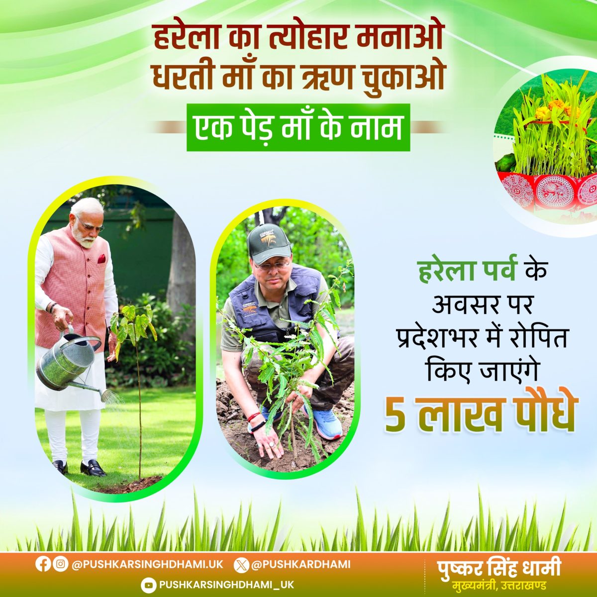 Uttarakhand to set new record planting over 5 lakh saplings to mark the Harela festival