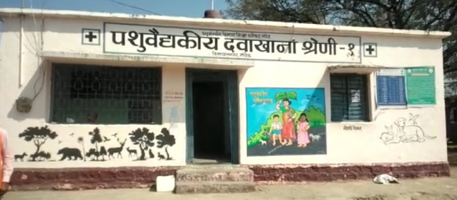 राज्यात ३५७ ठिकाणी पशुवैद्यकीय दवाखान्याला नवीन इमारती मिळणार