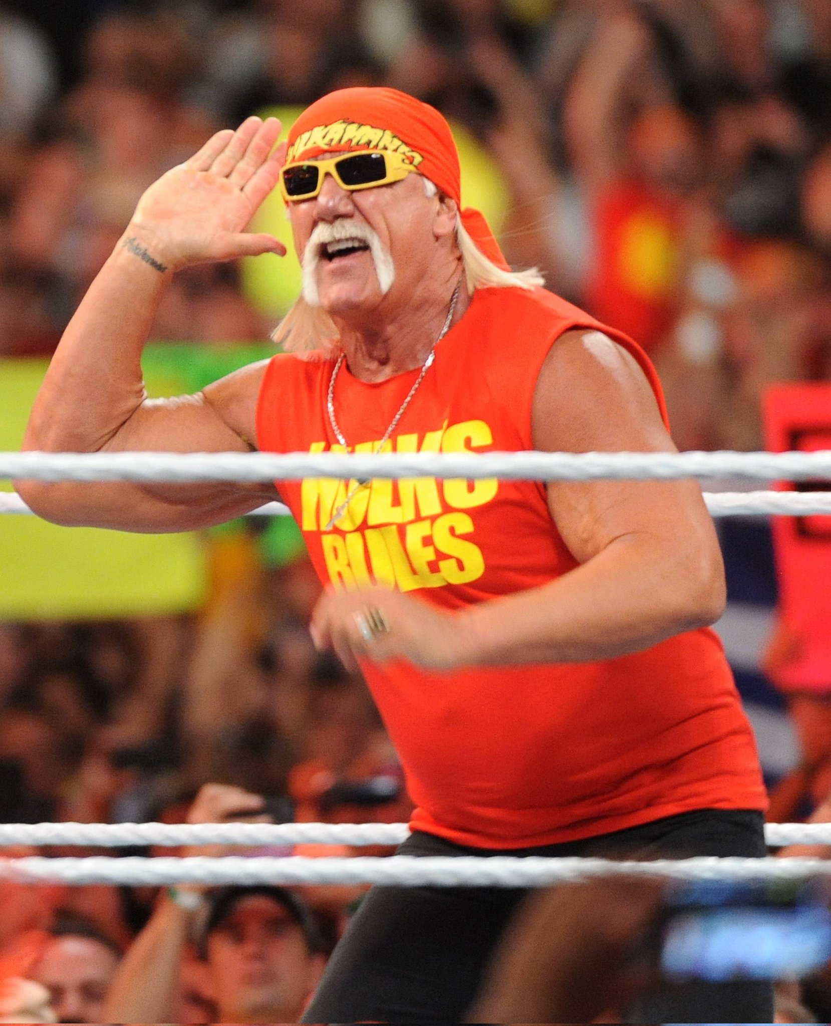 Wrestling icon Hulk Hogan dies at 71 following cardiac arrest