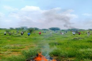 भारतीय वायु सेना के जगुआर प्रशिक्षक विमान के दुर्घटनाग्रस्त होने के कारणों का पता लगाने के लिए जाँच दल गठित किया गया है