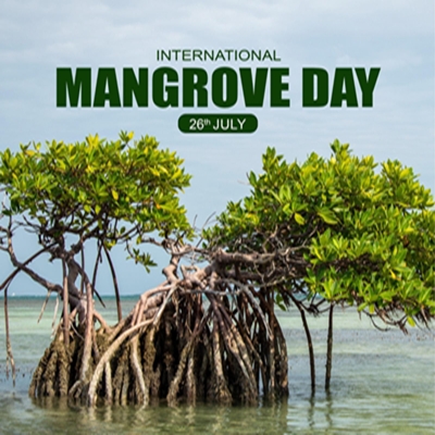World Mangrove Day: Forests play vital role in biodiversity