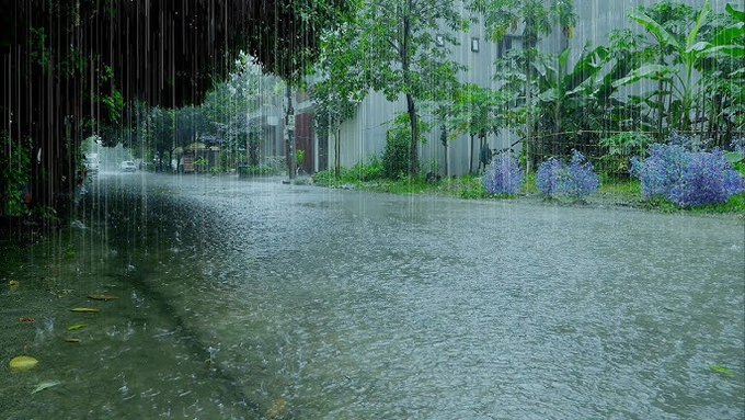 IMD Forecasts Very Heavy Rain Across Northwest, East & Central India Tomorrow