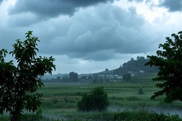 IMD forecasts heavy rainfall across Central, Northwest, Eastern India over next few days