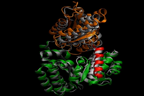 Microsoft’s new AI system to help decode protein motion, advance drug discovery