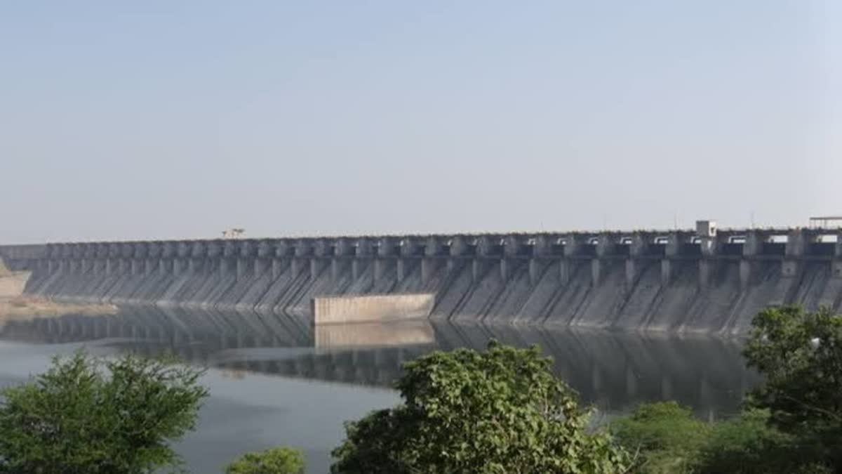 राज्याच्या विविध भागात सध्या सुरू असलेल्या पावसामुळे धरणांच्या पाणी पातळीत वाढ