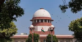 बेदरकारपणे गाडी चालवणाऱ्यांना भरपाई द्यायला वीमा कंपनी बांधिल नसल्याचा सर्वोच्च न्यायालयाचा निर्वाळा