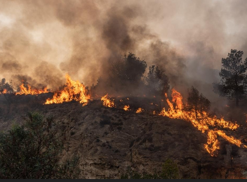 Firefighter dies as forest fire rages in Turkey