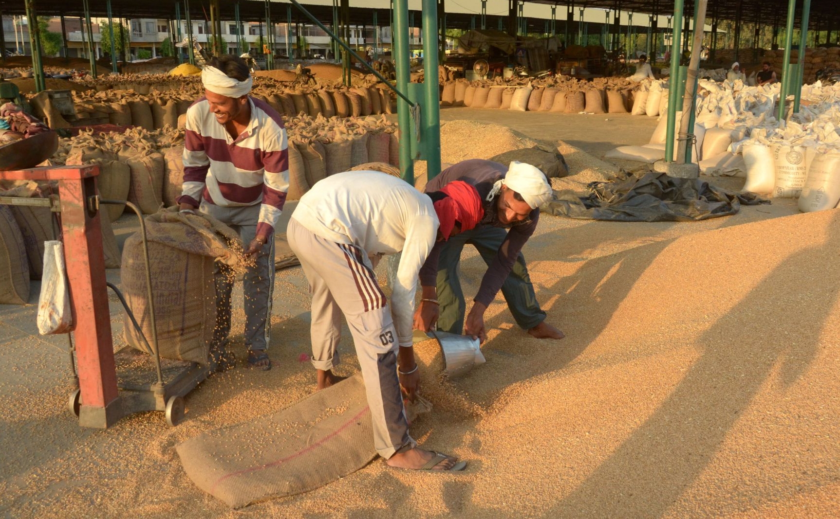 World’s Largest Grain Storage Plan in Cooperative