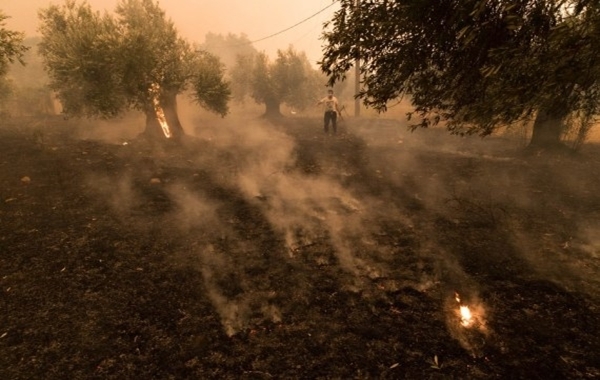 Greece Battles Five Major Wildfires Amid 44°C Heatwave