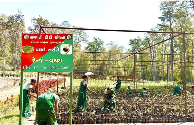 ‘લખપતિ દીદી’ યોજના હેઠળ દક્ષિણ ડાંગની 40 મહિલાઓએ 35 લાખ રૂપિયાથી વધુની કમાણી કરી