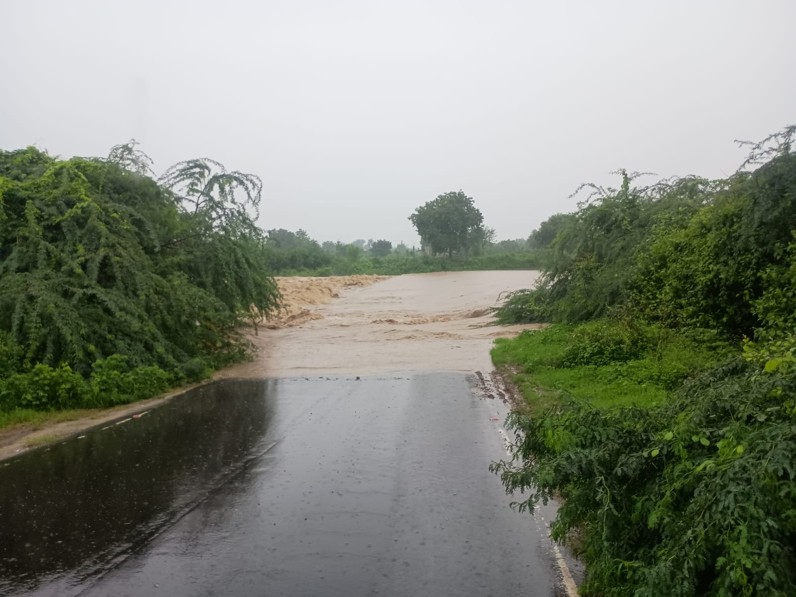पूर्वी महाराष्ट्र में भारी बारिश का कहर, नागपुर और वर्धा में रेड अलर्ट, स्कूल-कॉलेज बंद