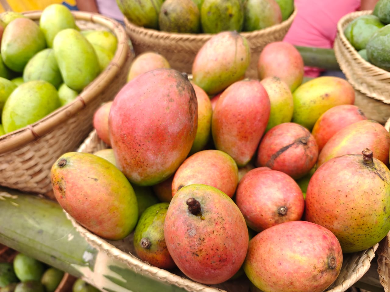 1st-ever Mango Festival celebrated in Nagaland to boost local agriculture & entrepreneurship