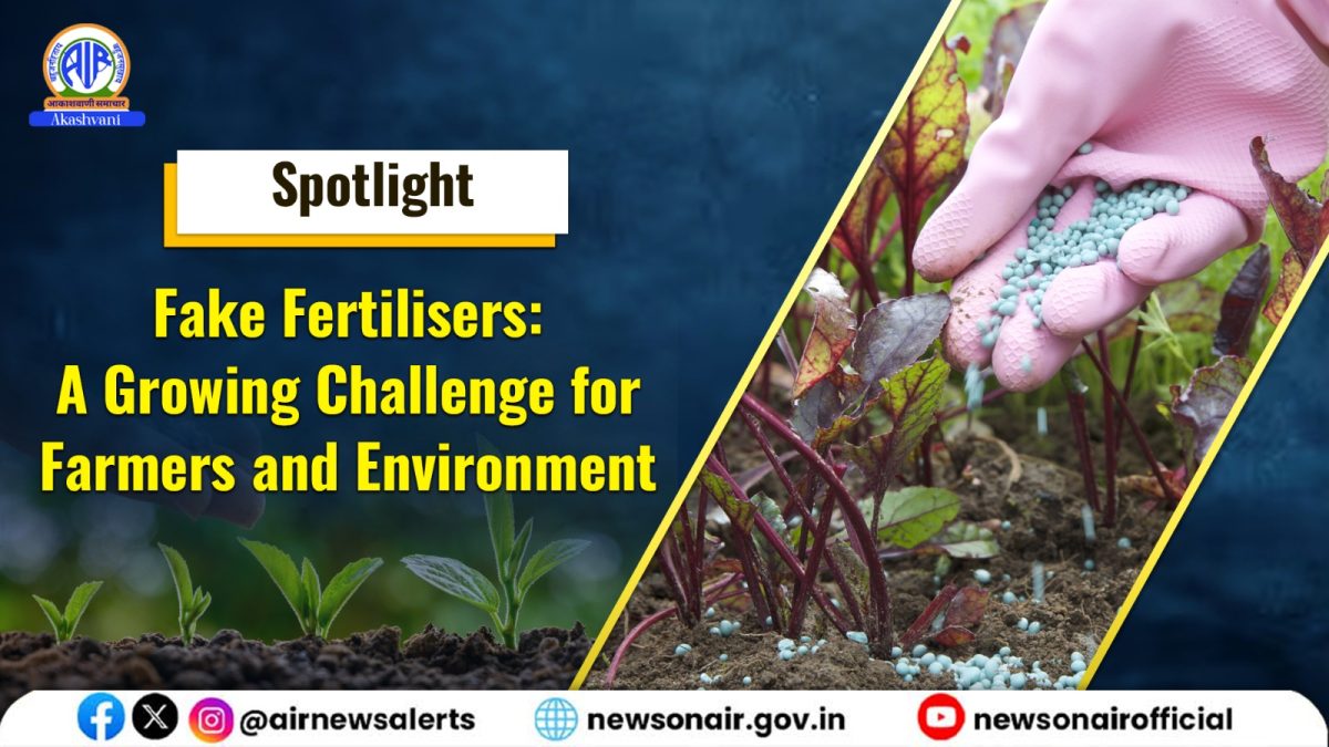 Spotlight : Fake Fertilisers: A Growing Challenge for Farmers and Environment