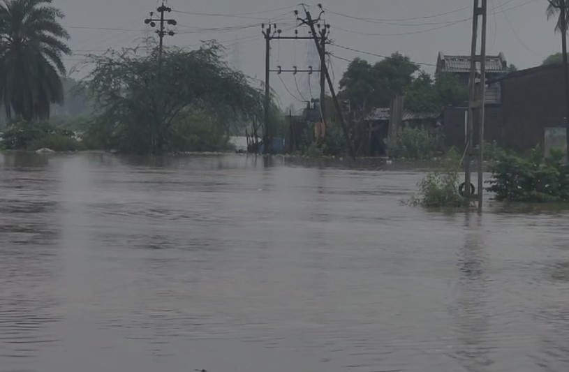 રાજ્યમાં આવતીકાલે નવસારી, વલસાડ, દમણ, દાદરા અને નગર હવેલીમાં છૂટાછવાયા સ્થળે ભારે વરસાદની આગાહી