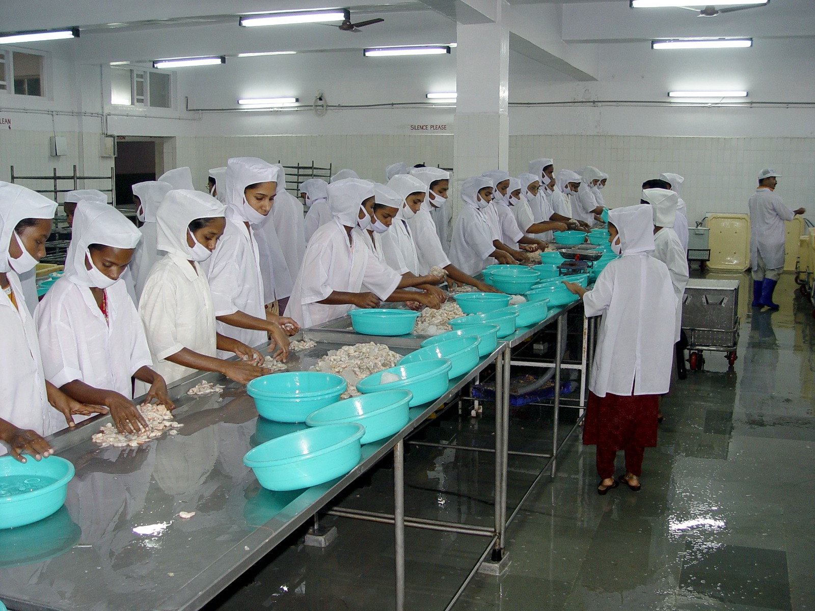 દરિયાઈ માછલીના ઉત્પાદનમાં સમગ્ર દેશમાં ગુજરાત બીજા સ્થાન પર