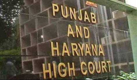 Punjab and Haryana High Court Stays Punjab Land Pooling Policy, Directs State To File Reply Within 4 Weeks