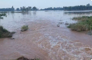 Haryana: Water level of Tangri river rises in Ambala