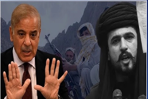 Baloch activist considers entrusting its mineral wealth to Pakistan, violation of international law